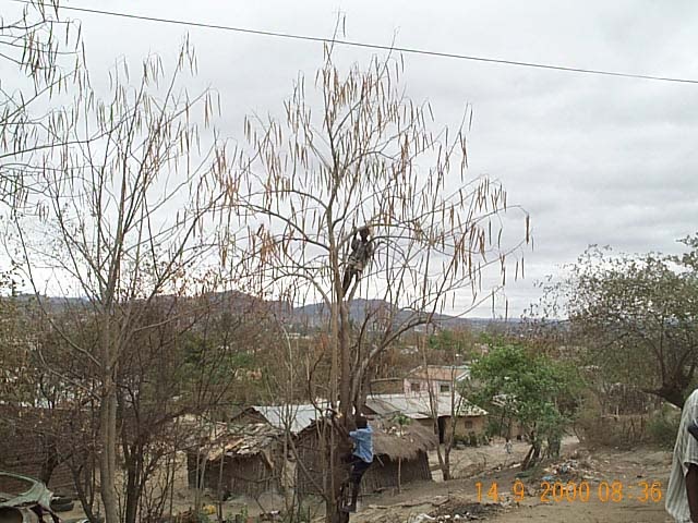 Certains disent qu'avant l'indépendance c'était mieux....